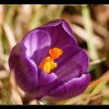 20080224_059
